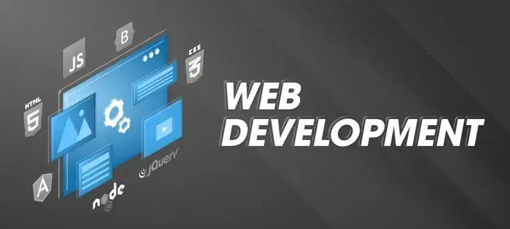 Website development at Waanverse Labs